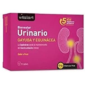 VITALART Urinewegen Complex, 10 Sachets