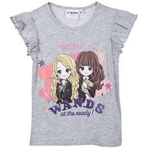 Warner Bros. T-shirt met korte mouwen T-shirt voor meisjes, Grijs, 4 Jaren