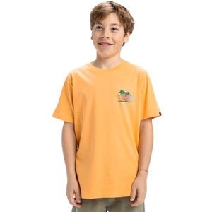Quiksilver Ev Sunny Palms Ss Yth T-shirt voor jongens (pak van 1)