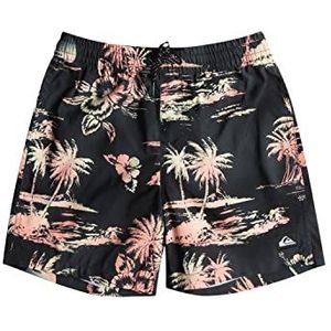 Quiksilver Everyday Mix Volley Youth 14 Boardshorts voor jongens (1 stuk)