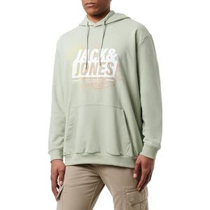 Jack & Jones JCOMAP Summer Logo Sweat Hood PLS, Desert Sage/Detail:gradient Map - Solid Jj, 3XL