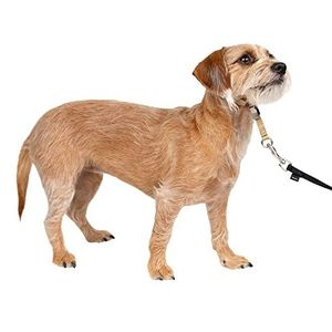 PetSafe Gentle Leader halster, Anti-trekken hondenhalsband - Perfect voor riem- en harnastraining - Voorkomt dat huisdieren trekken en stikken tijdens wandelingen - maat S, reebruin