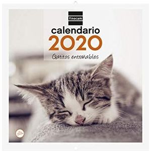 Finocam Wandkalender 2020 afbeeldingen 30 x 30 cm, Spaanse katten