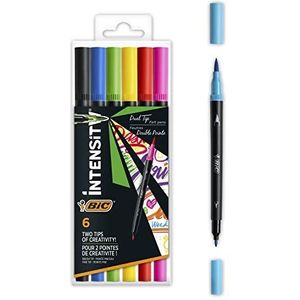 BIC Intensity Set viltstiften, Dual Tip Brush Pen om te schilderen in 6 verschillende kleuren, met dikke en dunne punt