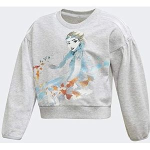 adidas Unisex Lg Dy Fro Sweatshirt voor kinderen