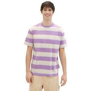 TOM TAILOR Denim T-shirt voor heren, 34975 - Purple Beige Blue Big Stripe, S