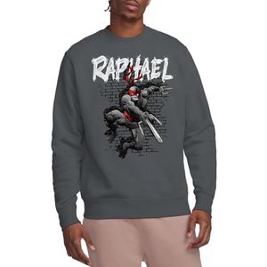Teenage Mutant Ninja Turtles Tmnt Tmnt Raphael Crew Sweatshirt, houtskool, XX-Large, houtskool, XXL