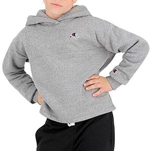 Champion Sweatshirt van het merk Model Sweat à Capuche Fille 404226