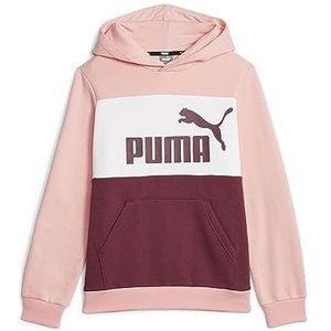 Puma Ess Block Fl Hoodie