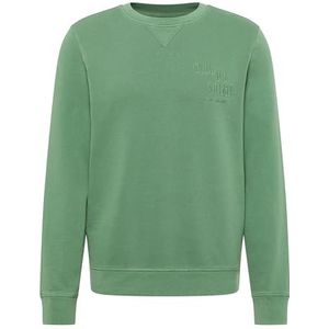 Style Clio, Dark Ivy 6326, M