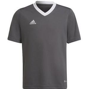 adidas Uniseks-Kind Entrada 22 Jersey, Team Grey Four, 5-6 Years