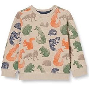 Noppies Baby Jerevan Jerevan-sweater voor jongens en jongens, met lange mouwen, all-over print, string-P860, 56