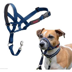 Company of Animals HALTI Halster, om te voorkomen dat uw hond aan de riem trekt. Verstelbaar, reflecterend en licht, met gevoerde neusband, Cobalt Blue, 1