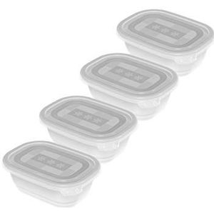Rotho Freeze Set van 4 diepvriesdozen 0.5l met deksel, Kunststof (PP) BPA-vrij, transparante, 4 x 0.5l (15.5 x 11.0 x 10.5 cm)