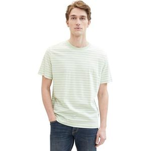 TOM TAILOR T-shirt voor heren, 35208 - Tender Sea Green White Streep, M