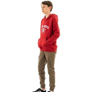 Teddy Smith S- Live Hoody Jr Sweatshirt met capuchon voor jongens, Jam Red, 14 Jaren