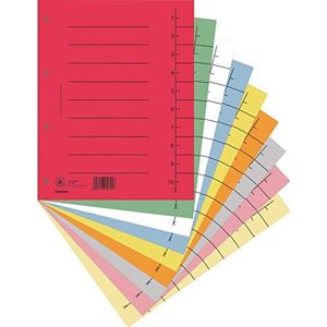 DONAU 8610001S-99 pak van 100 tabbladen/van gerecycled karton 250 g/m² met lijnopdruk voor DIN A4 4-voudige perforatie tabbladen tabbladen tabbladen agenda kalender