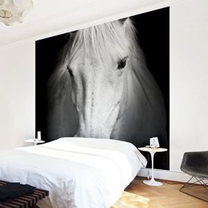 Apalis vliesbehang Dream of a Horse paard fotobehang vierkant, grootte, grijs, 97597 240 x 240 cm grijs