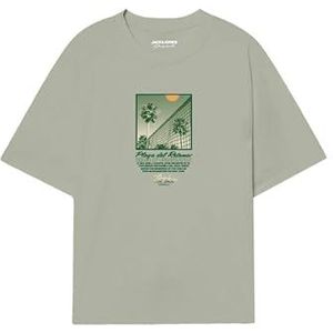 JACK & JONES Joralmeria Palms Tee Ss Crew Neck FST voor heren, Celadon Tint, XL