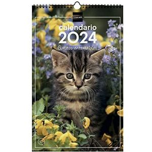 Finocam - Kalender 2024 spiraalwandafbeeldingen om te schrijven, januari 2024 - december 2024 (12 maanden) Spaanse katjes