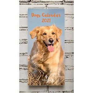 Collins Hondenkalender 2021