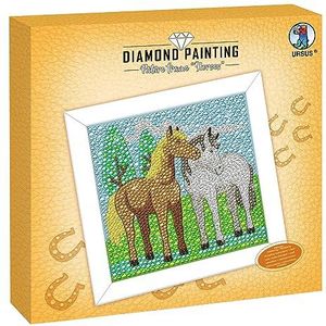 Ursus 43530002F - Diamond Painting schilderpaarden, set met acryl diamanten, plukker, bakje en waslijm, incl. knutselhandleiding