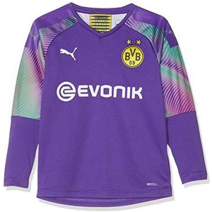 PUMA Jongens BVB LS GK Shirt replica Jr with Evonik Without OPEL keepersshirt