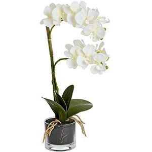 Hill Interiors Harmony White Orchidee in pot, eenheidsmaat, meerkleurig
