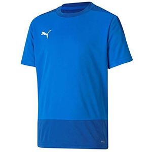 PUMA Unisex Kinder, teamGOAL 23 Training Jersey Jr T-shirt, Electric Blue Lemonade-Team Power Blue, 128
