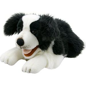The Puppet Company - Playful Puppies - Border Collie, PC003007