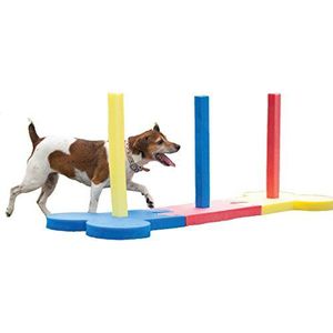 Rosewood Kleine Hond Agility Slalom