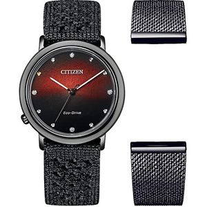 Citizen Watch EM1007-47E, zwart