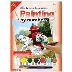 Royal & Langnickel Peek-A-Boo Design Paint by Numbers Kit, Natuurlijk, standart