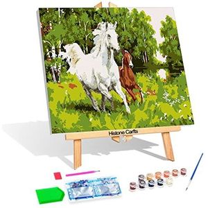 Diamond Painting & Painting by Numbers, 2 in 1 set motief paarden, knutselset om te schilderen met acrylverf en glittersteentjes voor kinderen vanaf 8 jaar