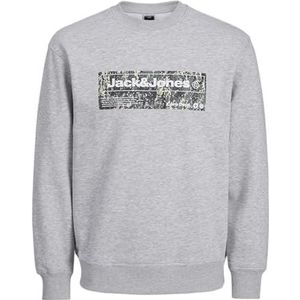 Jack & Jones JCOALPHA Sweat Crew Neck, lichtgrijs gem., M