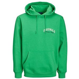JACK & JONES Jorbrink Studio Sweat Hood capuchontrui voor heren, groen (island green), S