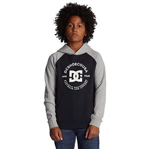 DC Shoes DC Star Pilot Raglan Ph Boy T-shirt voor jongens