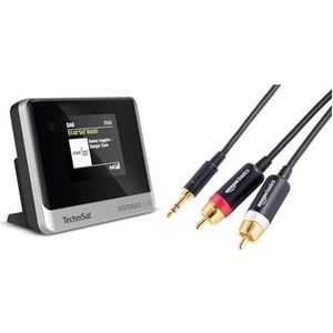 TechniSat DIGITRADIO 10 IR - DAB+ en internetradio-adapter (WLAN, kleurendisplay, Bluetooth) & Amazon Basics 3,5 Aux naar 2 RCA-adapter, zwart, 1,20 meter