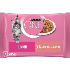 Purina ONE Natvoer voor katten, katten, junior, katten tot 1 jaar, filets in saus met zalm, 4 x 85 g, 12 stuks