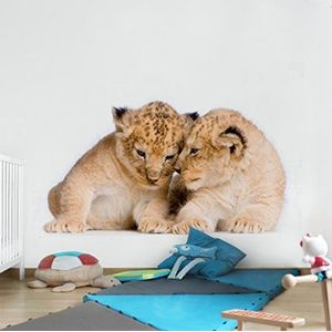 Apalis Vliesbehang Two Lion Baby Fotobehang Vierkant | Fleece Behang Muurbehang Foto 3D Fotobehang voor Slaapkamer Woonkamer Keuken | Grootte: 336x336 cm, meerkleurig, 98106