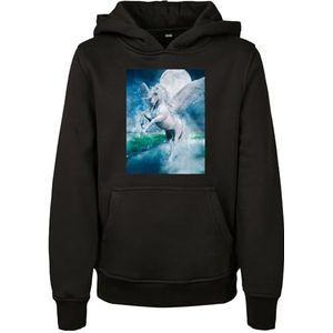 Mister Tee Unisex capuchontrui, 65% katoen, 35% polyester, zwart, 158-164, Zwart, 158-164