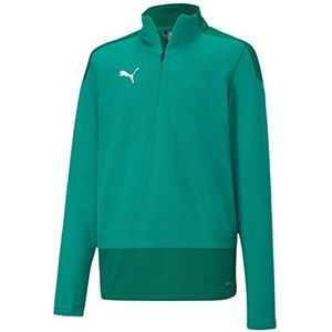 PUMA Unisex Kinder, teamGOAL 23 Training 1/4 Zip Top Jr Trainingsoberteil, Pepper Green-Power Green, 164