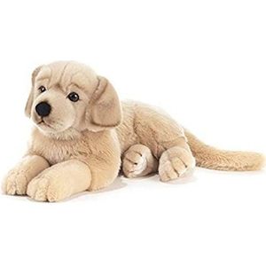 Pluche & Company & company15868 45 cm honden Golden Retriever Goldy pluche speelgoed