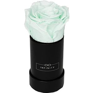 Infinity Flowerbox - 1 echte Infinity-rozen (3 jaar houdbaar zonder water) - direct met geschenkverpakking geleverd I handgemaakt in Berlijn I cadeau voor vrouwen (Minty Rose in zwarte doos)