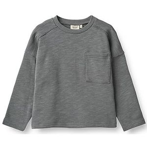 Wheat Sweatshirt voor jongens, 1525 Autumn Sky, 122 cm