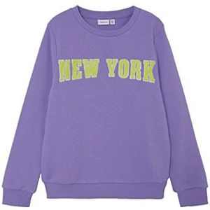 NAME IT Girl's NKFLOLA LS SWE BRU Sweatshirt, Aster Purple, 122/128, Aster Purple, 122/128 cm