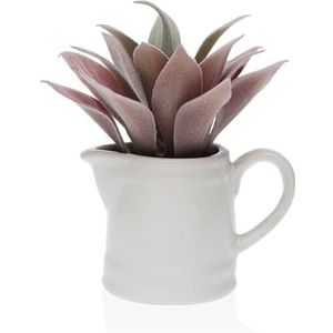 Vetplant in bloempot