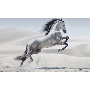 empireposter grijze schimmel natuur poster foto paardengrootte 91,5x61 cm, papier, kleurrijk, 91,5 x 61 x 0,14 cm