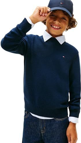 TOMMY HILFIGER Trui  navy / rood / wit