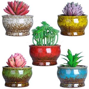 ARTKETTY Succulente plantenpotten - Keramische cactus plantenpotten met drainage Pack van 5, kleine planten potten voor binnen/buiten planten, bloem bonsai plantencontainer kom
